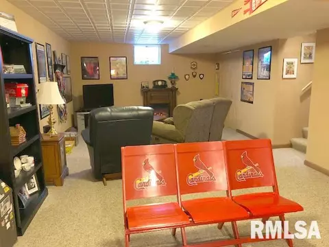 10398 E Cameron Rd, Cuba, IL 61427 photo 24