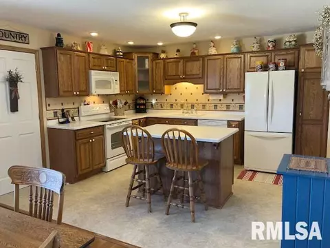 10398 E Cameron Rd, Cuba, IL 61427 photo 6