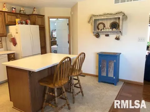 10398 E Cameron Rd, Cuba, IL 61427 photo 7