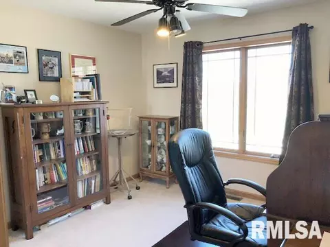 10398 E Cameron Rd, Cuba, IL 61427 photo 21