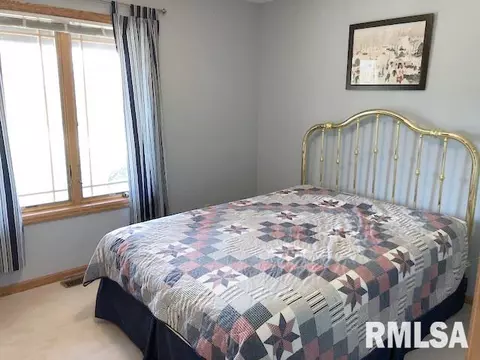 10398 E Cameron Rd, Cuba, IL 61427 photo 20