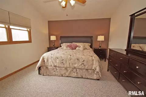 230 W Hillbrook Ct, Dunlap, IL 61525 photo 18