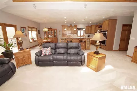 230 W Hillbrook Ct, Dunlap, IL 61525 photo 4
