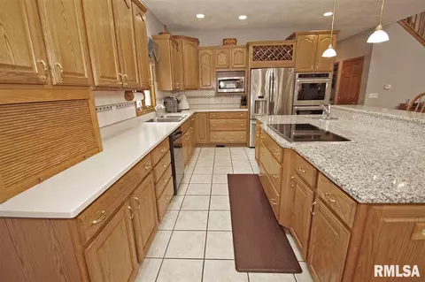 230 W Hillbrook Ct, Dunlap, IL 61525 photo 9