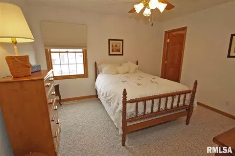 230 W Hillbrook Ct, Dunlap, IL 61525 photo 20
