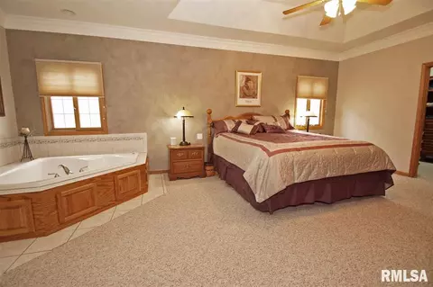230 W Hillbrook Ct, Dunlap, IL 61525 photo 11