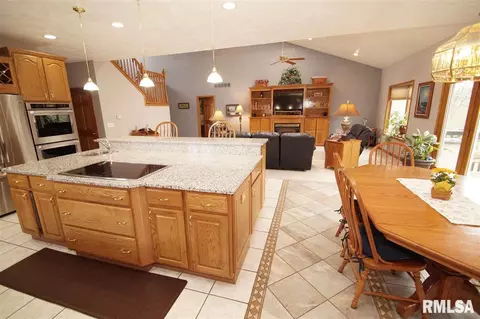 230 W Hillbrook Ct, Dunlap, IL 61525 photo 5