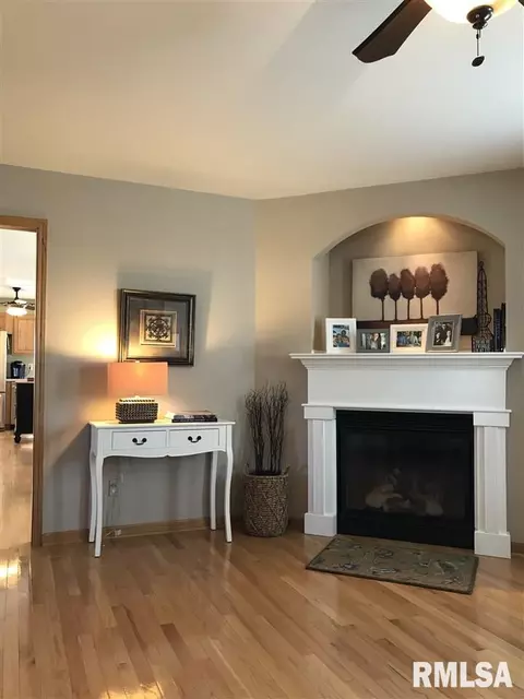 209 Jerry Ave, Germantown Hills, IL 61548 photo 8
