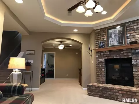 209 Jerry Ave, Germantown Hills, IL 61548 photo 21