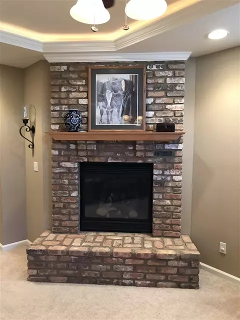 209 Jerry Ave, Germantown Hills, IL 61548 photo 19
