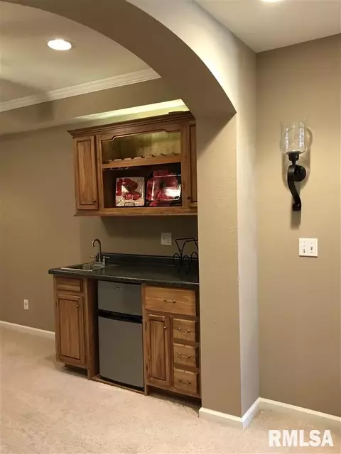 209 Jerry Ave, Germantown Hills, IL 61548 photo 20