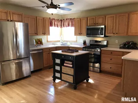 209 Jerry Ave, Germantown Hills, IL 61548 photo 10
