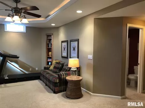 209 Jerry Ave, Germantown Hills, IL 61548 photo 18