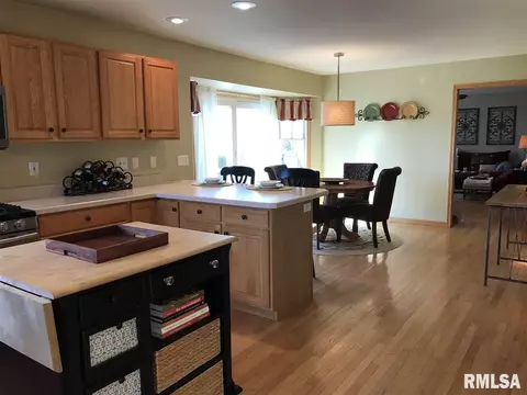 209 Jerry Ave, Germantown Hills, IL 61548 photo 11