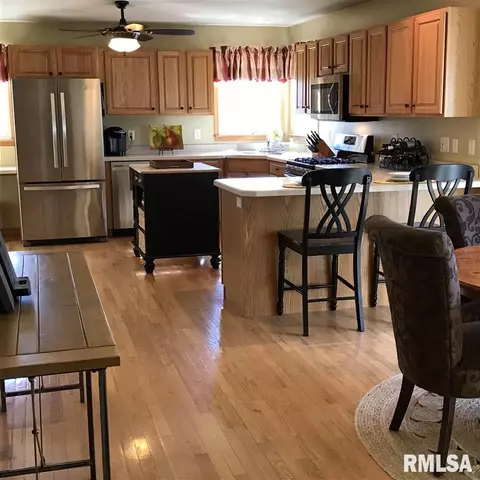 209 Jerry Ave, Germantown Hills, IL 61548 photo 14