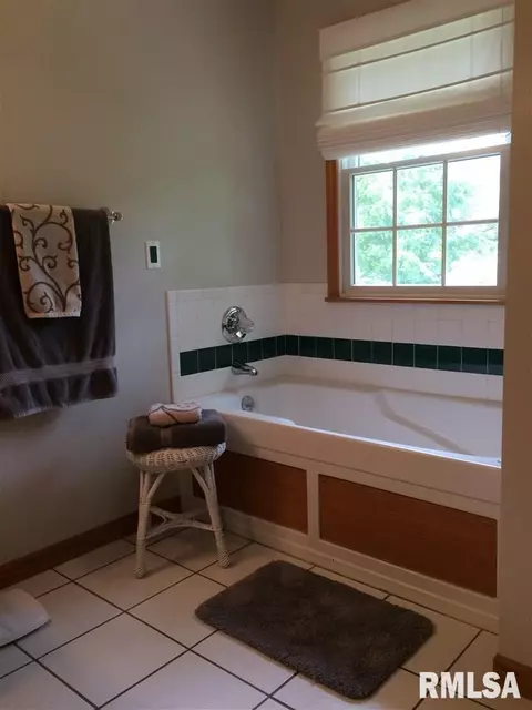 209 Jerry Ave, Germantown Hills, IL 61548 photo 23