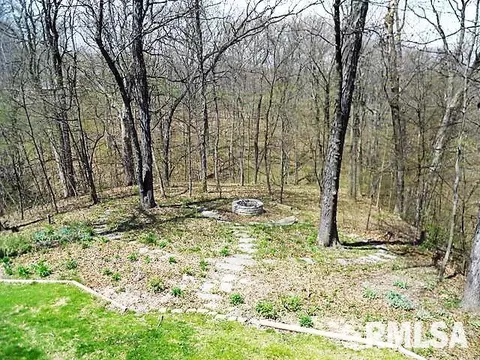 12701 Georgetowne Rd, Dunlap, IL 61525 photo 3
