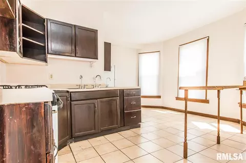 209 E Thrush Ave, Peoria, IL 61603 photo 10