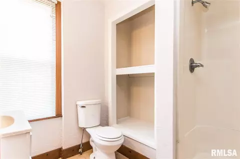 209 E Thrush Ave, Peoria, IL 61603 photo 19