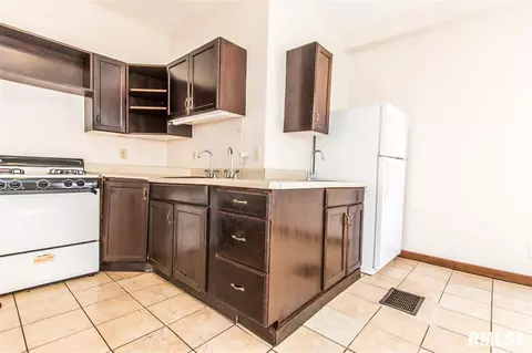 209 E Thrush Ave, Peoria, IL 61603 photo 12