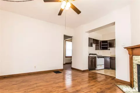 209 E Thrush Ave, Peoria, IL 61603 photo 8