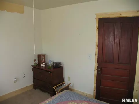 205 Silver St, Bradford, IL 61421 photo 24