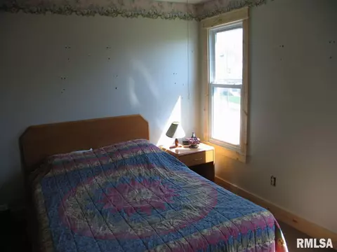 205 Silver St, Bradford, IL 61421 photo 23