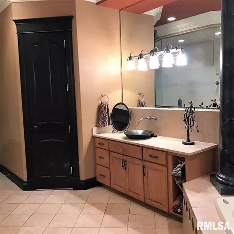38 Diamond Pt, Morton, IL 61550 photo 24