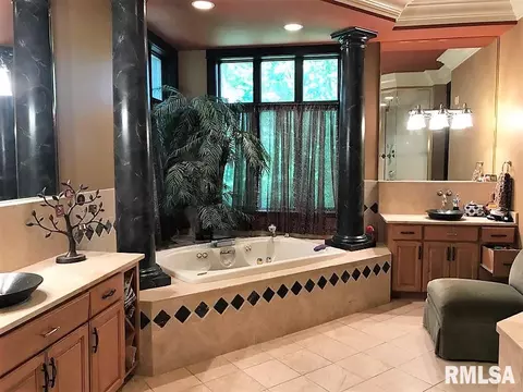 38 Diamond Pt, Morton, IL 61550 photo 23