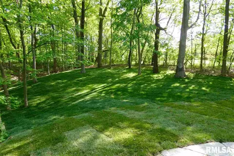 820 W Bennett Ct, Dunlap, IL 61525 photo 31