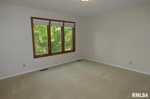 820 W Bennett Ct, Dunlap, IL 61525 photo 20