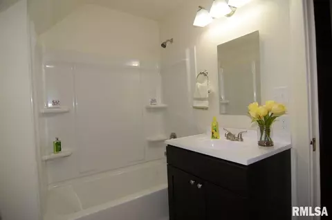 719 E Thrush Ave, Peoria, IL 61603 photo 23