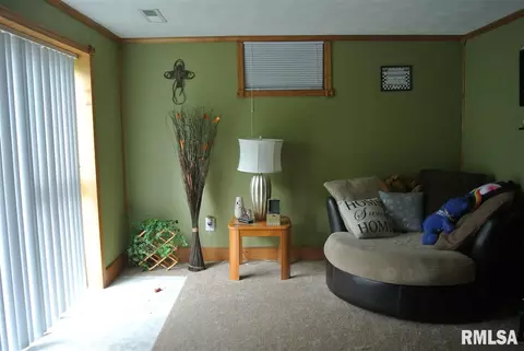 10507 W Merlin Ct, Mapleton, IL 61547 photo 22