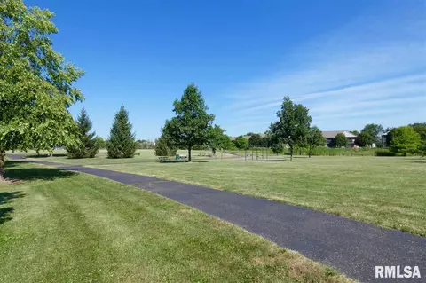 1535 W Meadowview Dr, Dunlap, IL 61525 photo 23