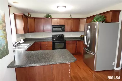 1535 W Meadowview Dr, Dunlap, IL 61525 photo 9