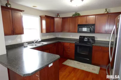 1535 W Meadowview Dr, Dunlap, IL 61525 photo 10