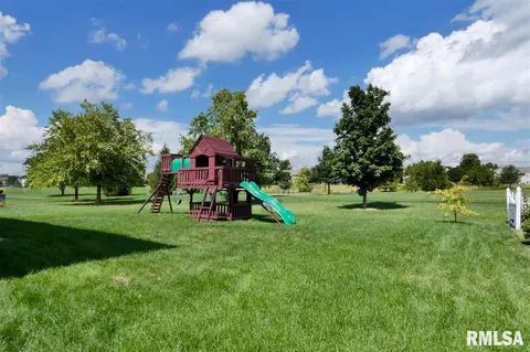 1535 W Meadowview Dr, Dunlap, IL 61525 photo 20