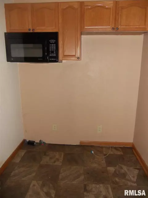 521 E Pne, Canton, IL 61520 photo 7