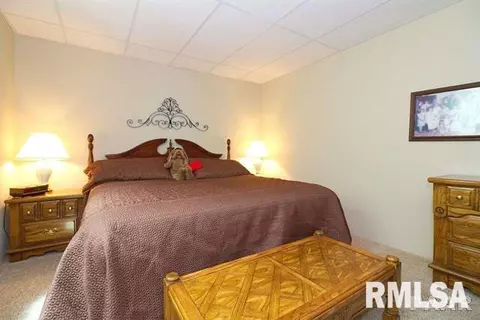 403 Cottingham Ln, Germantown Hills, IL 61548 photo 27