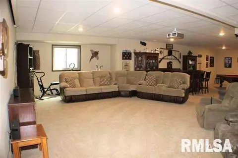 403 Cottingham Ln, Germantown Hills, IL 61548 photo 24