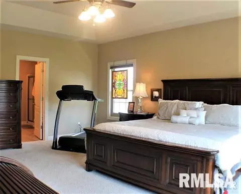 403 Cottingham Ln, Germantown Hills, IL 61548 photo 16