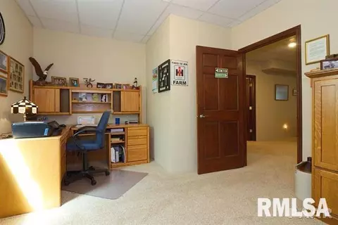 403 Cottingham Ln, Germantown Hills, IL 61548 photo 28