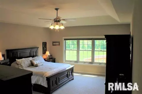 403 Cottingham Ln, Germantown Hills, IL 61548 photo 15