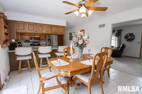 313 Pinecrest Dr, Germantown Hills, IL 61548 photo 13
