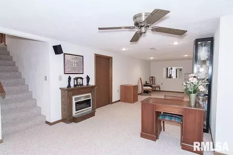 313 Pinecrest Dr, Germantown Hills, IL 61548 photo 26