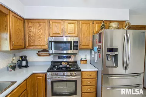 313 Pinecrest Dr, Germantown Hills, IL 61548 photo 10