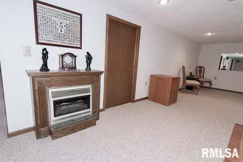 313 Pinecrest Dr, Germantown Hills, IL 61548 photo 25