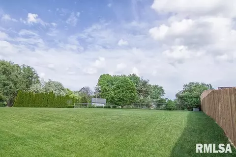 313 Pinecrest Dr, Germantown Hills, IL 61548 photo 36