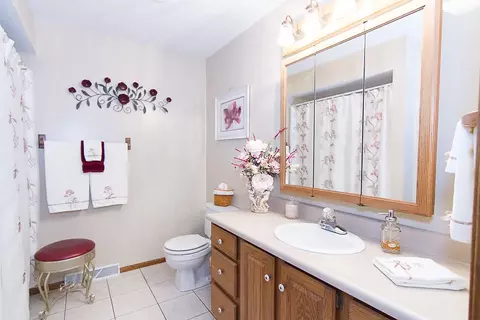 313 Pinecrest Dr, Germantown Hills, IL 61548 photo 15