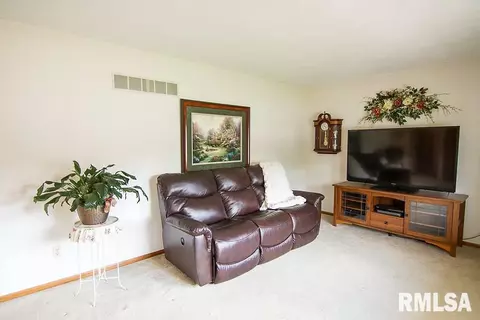 313 Pinecrest Dr, Germantown Hills, IL 61548 photo 5